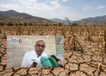 Fuertes lluvias golpean al campo tolimense vías rurales y cultivos presentan afectaciones
