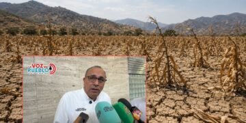 Fuertes lluvias golpean al campo tolimense vías rurales y cultivos presentan afectaciones