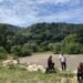 Continúan la búsqueda de persona que se habría lanzado al río Combeima