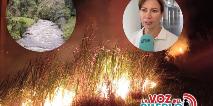 33 incendios forestales y 17 municipios en alerta roja por riesgo de nuevas conflagraciones en el Tolima