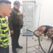 Buscan apoyo económico para tratamiento veterinario de ‘Toby’, perrito criollo que fue lanzado de un cuarto piso
