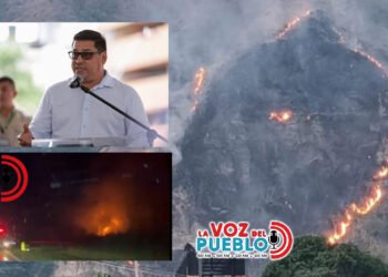 Más de mil hectáreas de maíz se pierden en Armero Guayabal por intensa ola de calor