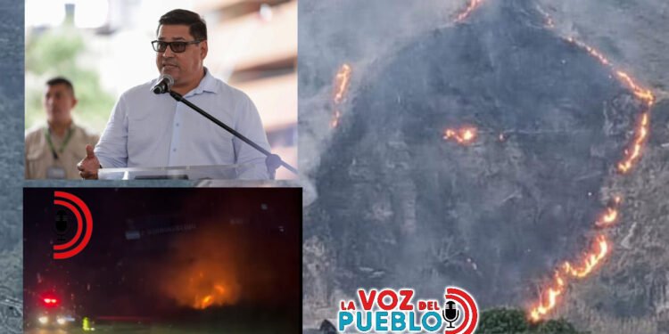 Más de mil hectáreas de maíz se pierden en Armero Guayabal por intensa ola de calor