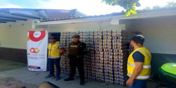 GOAT incautó más de 14 mil unidades de cerveza ilegal en corredores estratégicos del Tolima