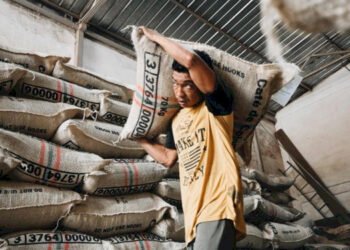 Exportaciones de Ibagué crecieron 52,6% entre el 2024 y 2026, según cifras de la DIAN