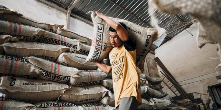 Exportaciones de Ibagué crecieron 52,6% entre el 2024 y 2026, según cifras de la DIAN