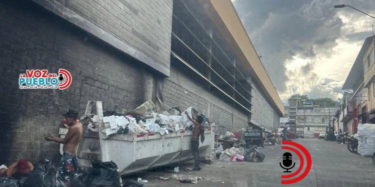 “Ibagué es el mejor vividero”: secretaria de Desarrollo Social pide no entregar limosna a habitantes de calle