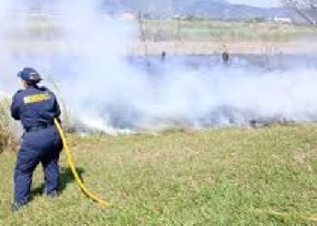 Ibagué se prepara ante posible aumento de incendios forestales