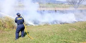 Ibagué se prepara ante posible aumento de incendios forestales