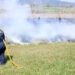 Ibagué se prepara ante posible aumento de incendios forestales