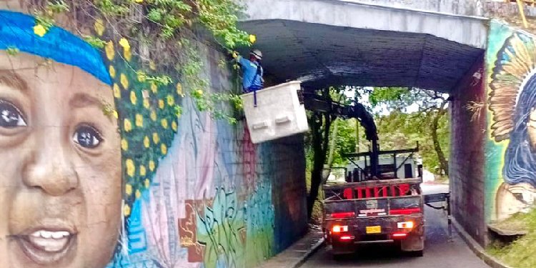 Instalaron nuevos reflectores para fortalecer iluminación en Puente de Versalles