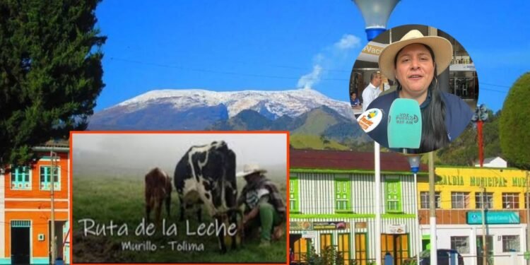´Las rutas de la lana y la leche´, las nuevas apuestas de Murillo para no solo depender de Los Nevados
