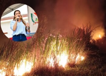 15 municipios están en riesgo de incendios por el fenómeno del Niño y 3 más con escasez de agua en el Tolima