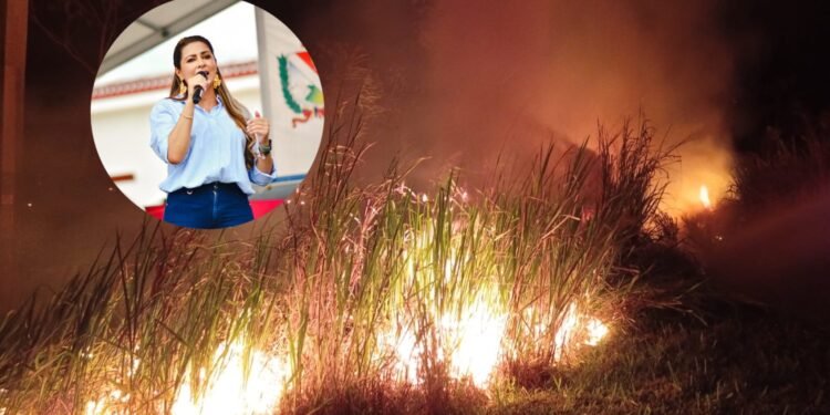 15 municipios están en riesgo de incendios por el fenómeno del Niño y 3 más con escasez de agua en el Tolima