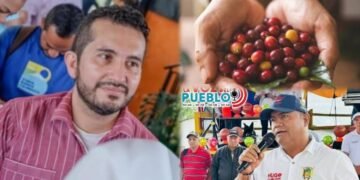 Alertan por posible estafa multimillonaria a caficultores del Tolima, Huila y Caquetá