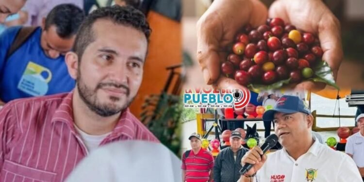 Alertan por posible estafa multimillonaria a caficultores del Tolima, Huila y Caquetá