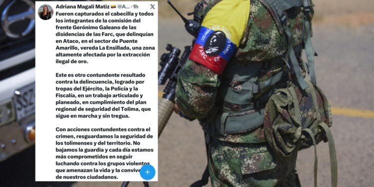 Capturan en Ataco a estructura criminal que explotaba oro ilegalmente y sembraba terror en el sur del Tolima