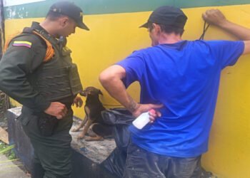 Autoridades rescataron a un perro que permanecía amarrado en vía pública de Ibagué