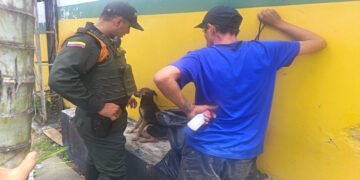 Autoridades rescataron a un perro que permanecía amarrado en vía pública de Ibagué