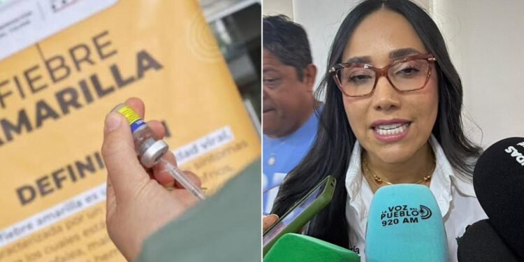 Turistas estarían llegando sin vacuna al Tolima: las cifras llegaron a 175 casos de fiebre amarilla y 65 fallecidos