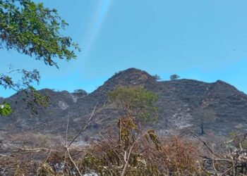 Secretaría de Agricultura prepara medidas para enfrentar posible fenómeno de El Niño
