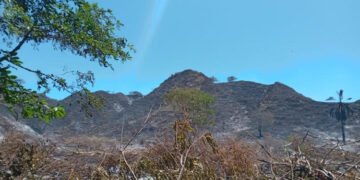 Secretaría de Agricultura prepara medidas para enfrentar posible fenómeno de El Niño