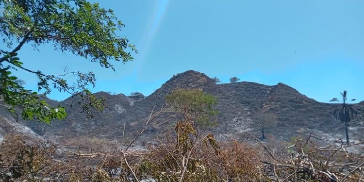 Secretaría de Agricultura prepara medidas para enfrentar posible fenómeno de El Niño