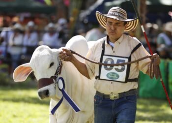 Infibagué pospondrá 58° Feria Agropecuaria e Industrial por temas de orden público