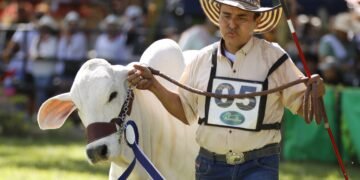 Infibagué pospondrá 58° Feria Agropecuaria e Industrial por temas de orden público