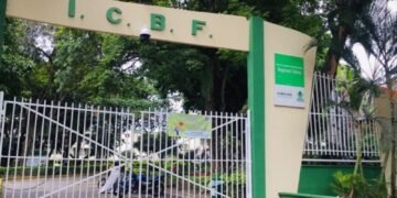 Bienestar Familiar activó medidas de protección para tres niños en Ibagué