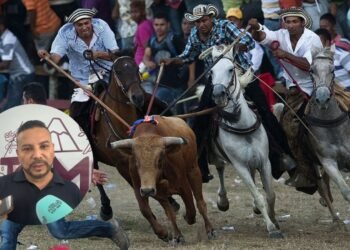 “Una cosa es lo legal y otra lo moral”: Tolima insiste en acabar con prácticas que involucren maltrato animal
