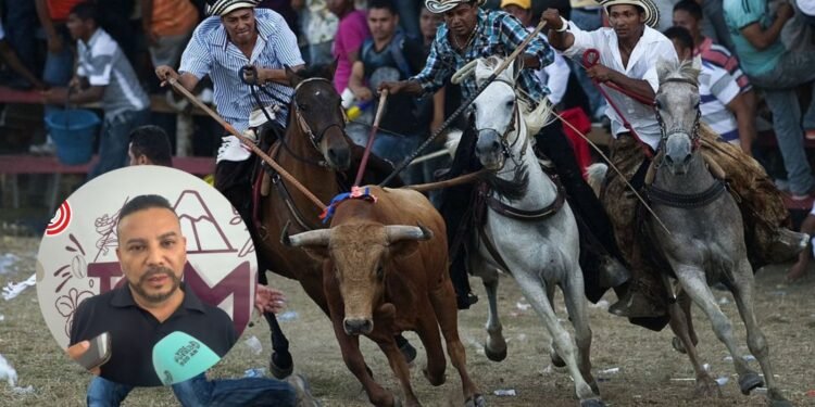 “Una cosa es lo legal y otra lo moral”: Tolima insiste en acabar con prácticas que involucren maltrato animal