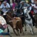 “Una cosa es lo legal y otra lo moral”: Tolima insiste en acabar con prácticas que involucren maltrato animal