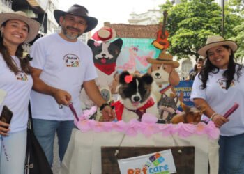 Ibagué celebrará jornada de servicios gratuitos para perros y gatos con desfile sampedrino y reinado canino