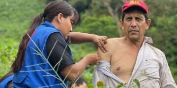 “La fiebre amarilla no se ha ido”: autoridades refuerzan vacunación en el Tolima durante temporada de fiestas