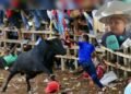 Procesos disciplinarios y falta de aval frenaron las corralejas en El Guamo