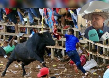Procesos disciplinarios y falta de aval frenaron las corralejas en El Guamo