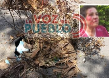 “Hasta que ocurra una desgracia”: denuncian abandono de hueco en el Belalcázar que ya ha provocado varios accidentes