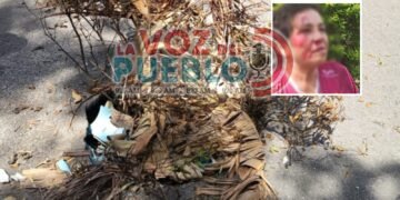 “Hasta que ocurra una desgracia”: denuncian abandono de hueco en el Belalcázar que ya ha provocado varios accidentes