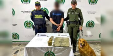 Cayó sujeto con cerca de dos kilos de cocaína y marihuana en la Terminal de Ibagué