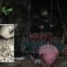 Cayó cargamento de bazuco y marihuana en la comuna 7 de Ibagué mientras niños jugaban en un parque