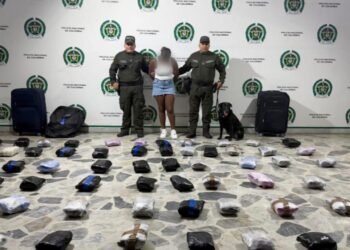 ¡Narcomulas en bus! Una joven de 18 años cayó con 33 kilos de marihuana en la Terminal de Ibagué