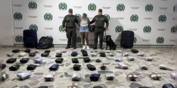 ¡Narcomulas en bus! Una joven de 18 años cayó con 33 kilos de marihuana en la Terminal de Ibagué