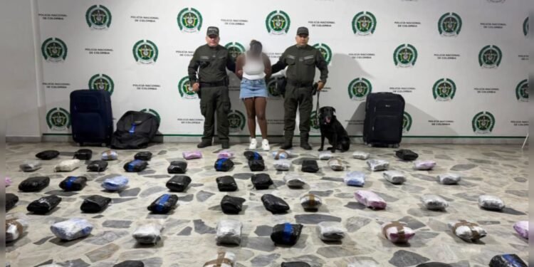 ¡Narcomulas en bus! Una joven de 18 años cayó con 33 kilos de marihuana en la Terminal de Ibagué