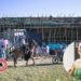 ¡No van más las corralejas! Guamo suspende la corrida de toros por ley nacional