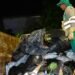 Reestablecido el servicio de recolección de basuras en Ibagué