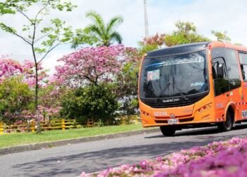 Más de 700 busetas atenderán la demanda de transporte en los desfiles del folclor