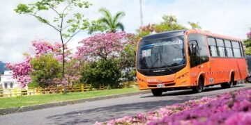 Más de 700 busetas atenderán la demanda de transporte en los desfiles del folclor