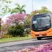 Más de 700 busetas atenderán la demanda de transporte en los desfiles del folclor