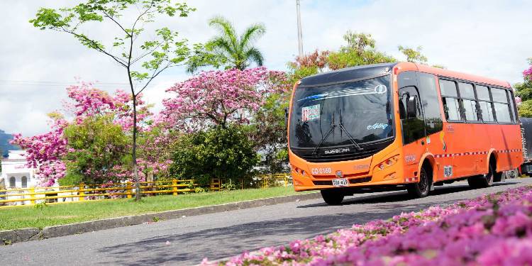 Más de 700 busetas atenderán la demanda de transporte en los desfiles del folclor